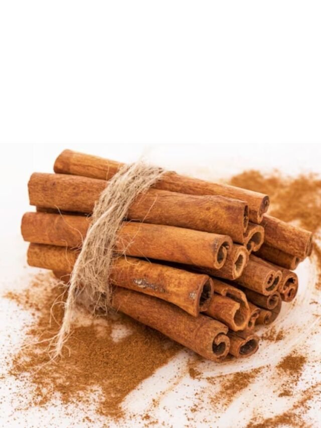 Discover the Power of Cinnamon Bark Extract!